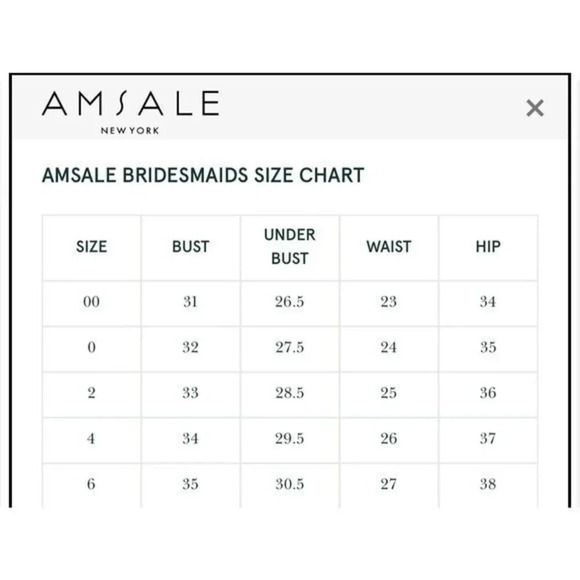 Amsale Sz 0 Cerisa Ruby Bridesmaid Gown‎ Full Chiffon Skirt Ruched Bodice GB033F - Picture 7 of 11